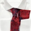 ST29 Bordeaux rood stropdas met elegante motief